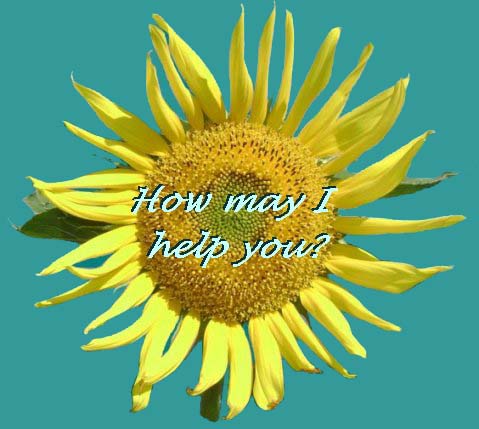 How may I help you?
